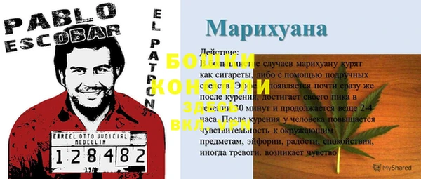 apvp Осинники