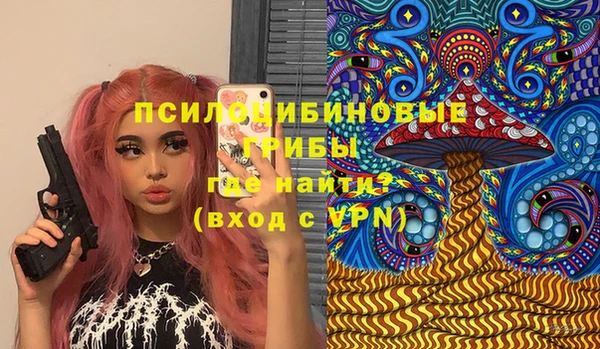 apvp Осинники
